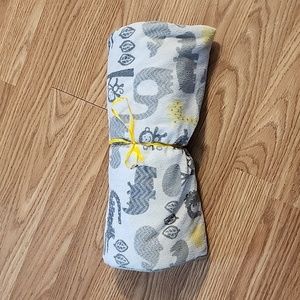 Circo baby blanket